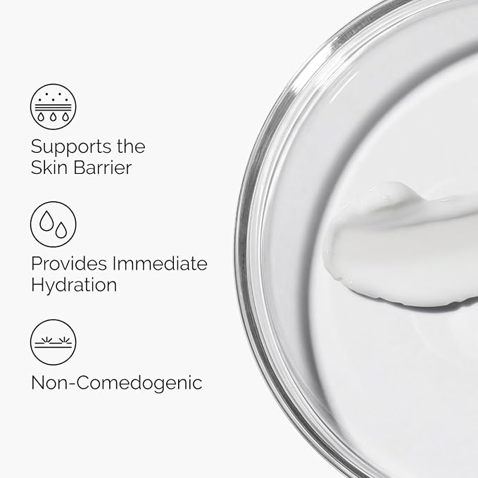The Ordinary Natural Moisturizing Factors plus HA -