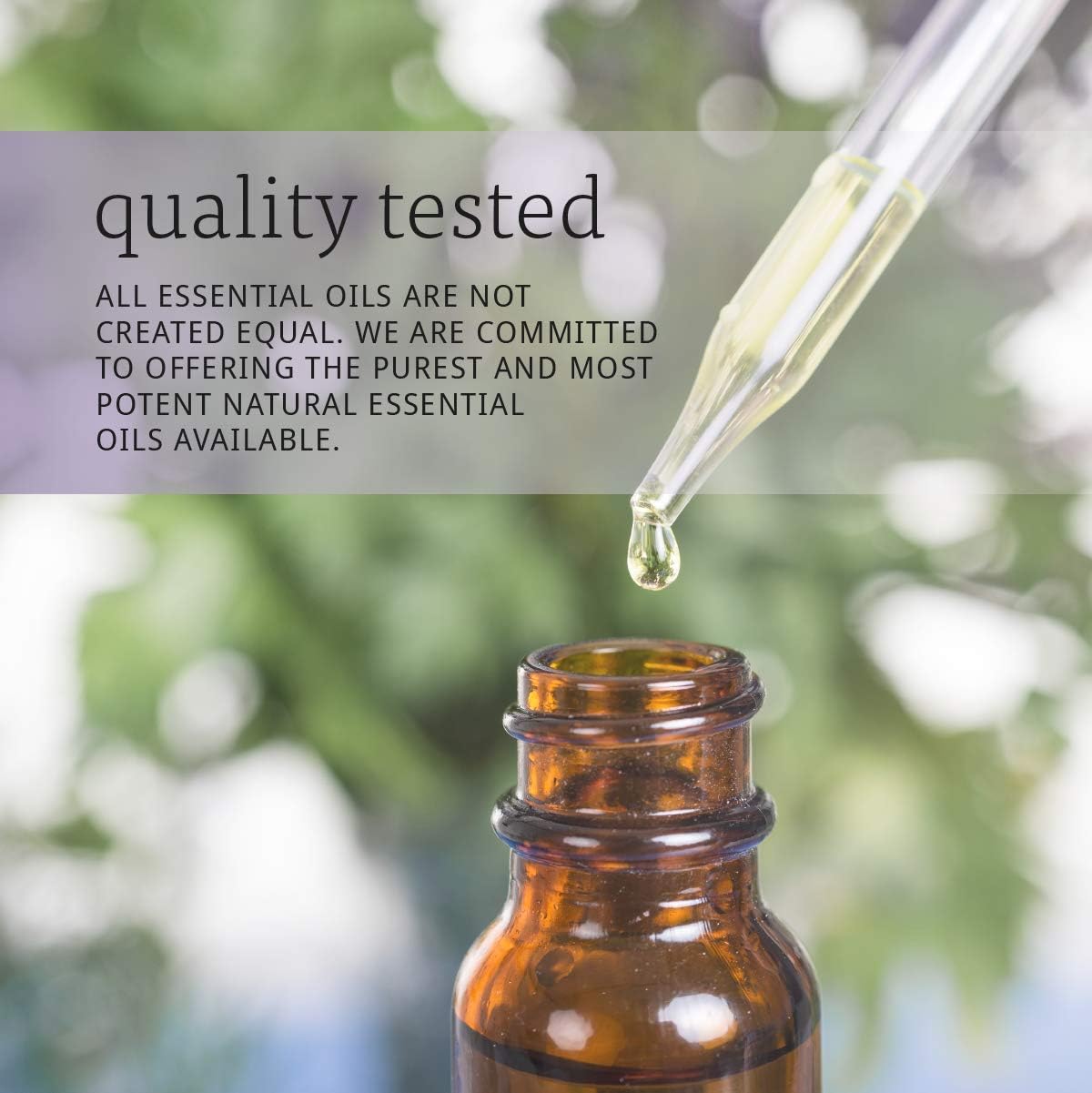 NOW Solutions, Rose Hip Seed Oil, 100% Pure, Nourishing and Renewing, For Facial Care, Vegan, Child Resistant Cap, 1-Ounce