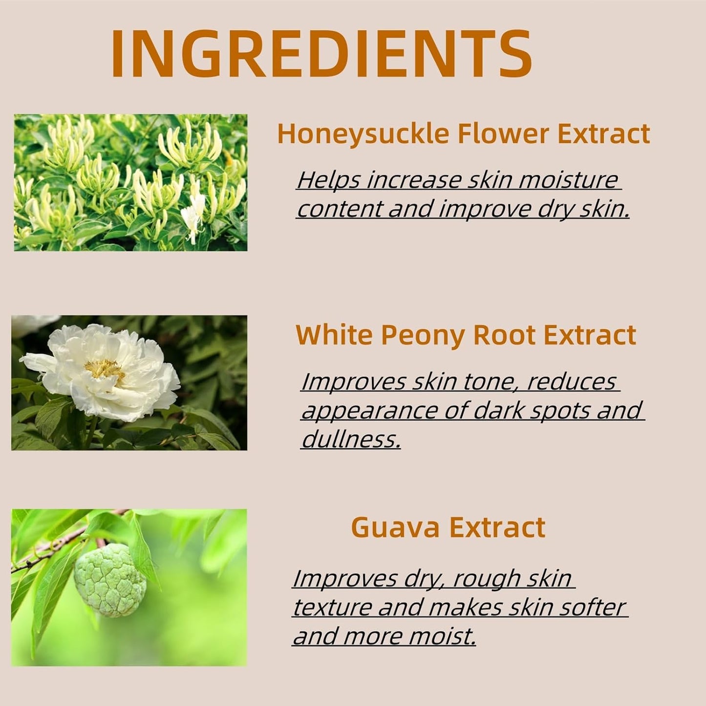 The Ordinary  Argireline Solution 10%  30 ml