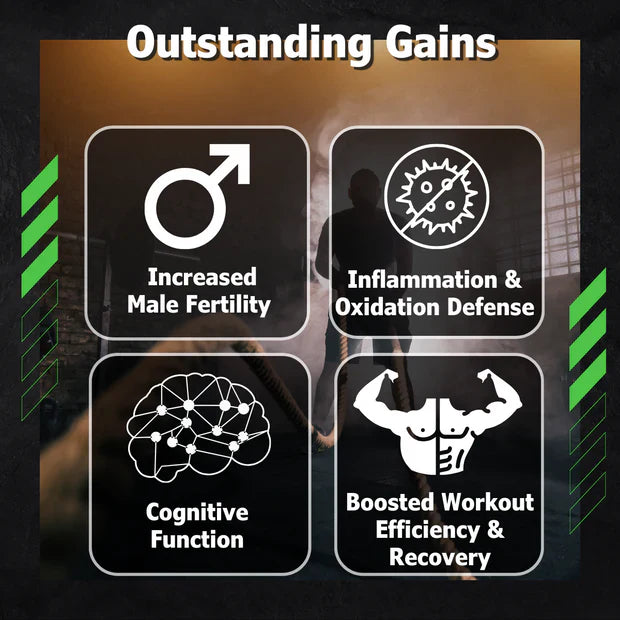 SHILAJIT  EXTRACT  dietary  supplement  60 caps